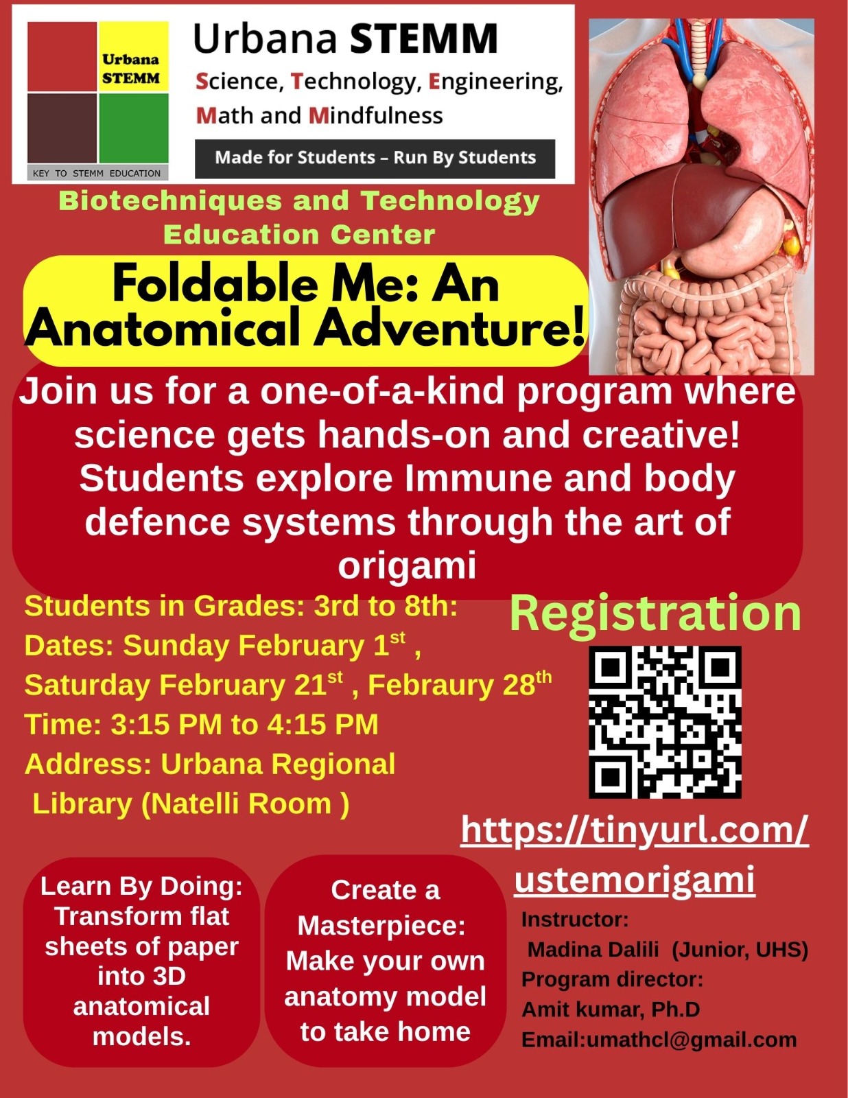 Foldable Me: An Anatomical Adventure!