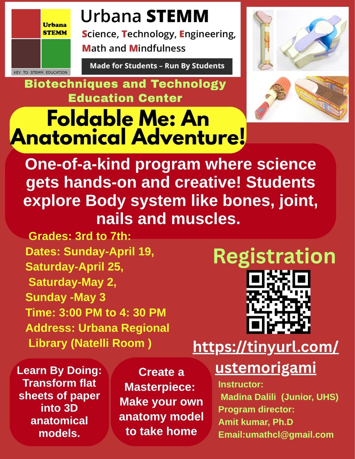 Foldable Me: An Anatomical Adventure!